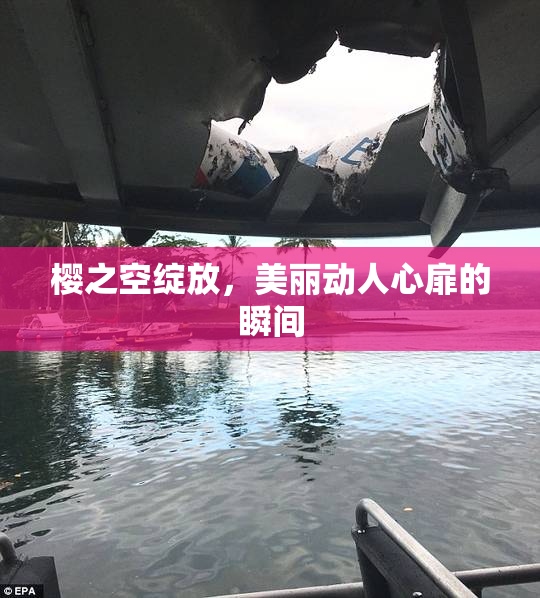 樱之空绽放，美丽动人心扉的瞬间