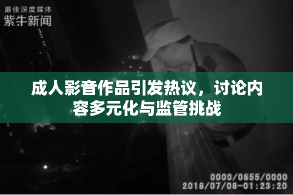 成人影音作品引发热议，讨论内容多元化与监管挑战