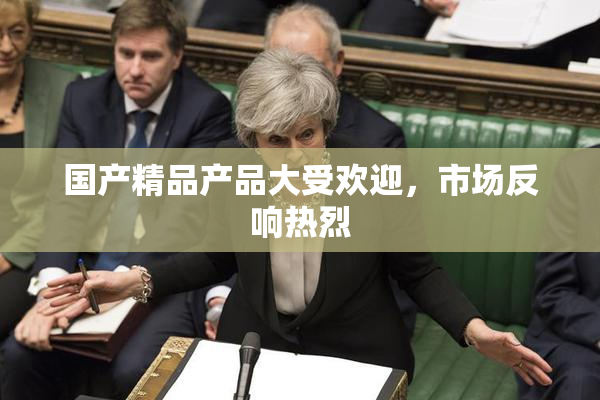 国产精品产品大受欢迎，市场反响热烈