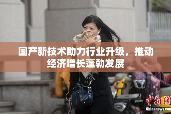 国产新技术助力行业升级，推动经济增长蓬勃发展