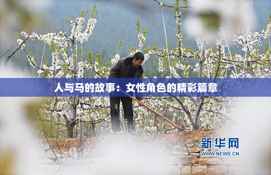 人与马的故事：女性角色的精彩篇章