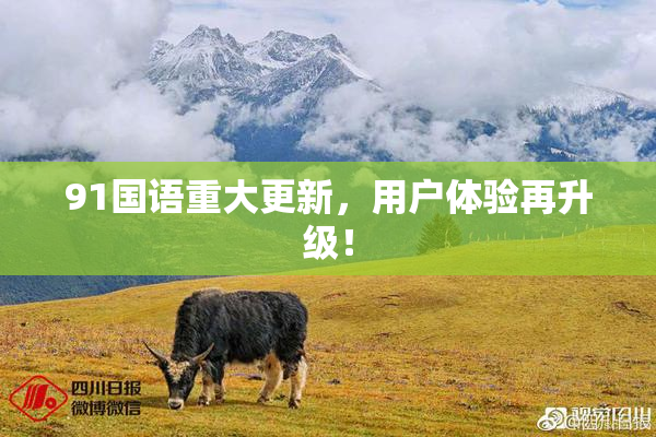 91国语重大更新，用户体验再升级！