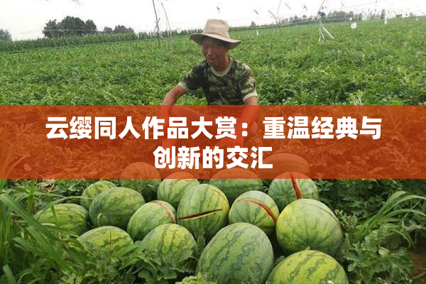 云缨同人作品大赏：重温经典与创新的交汇