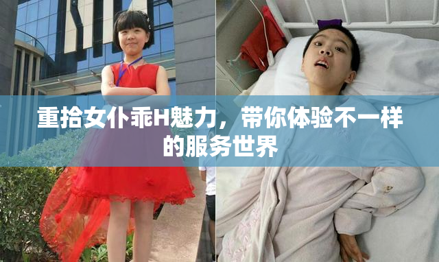 重拾女仆乖H魅力，带你体验不一样的服务世界