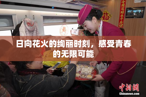 日向花火的绚丽时刻，感受青春的无限可能