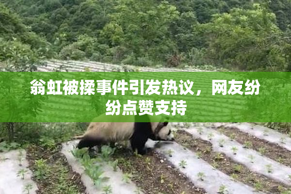翁虹被揉事件引发热议，网友纷纷点赞支持