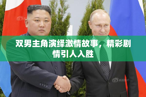 双男主角演绎激情故事，精彩剧情引人入胜