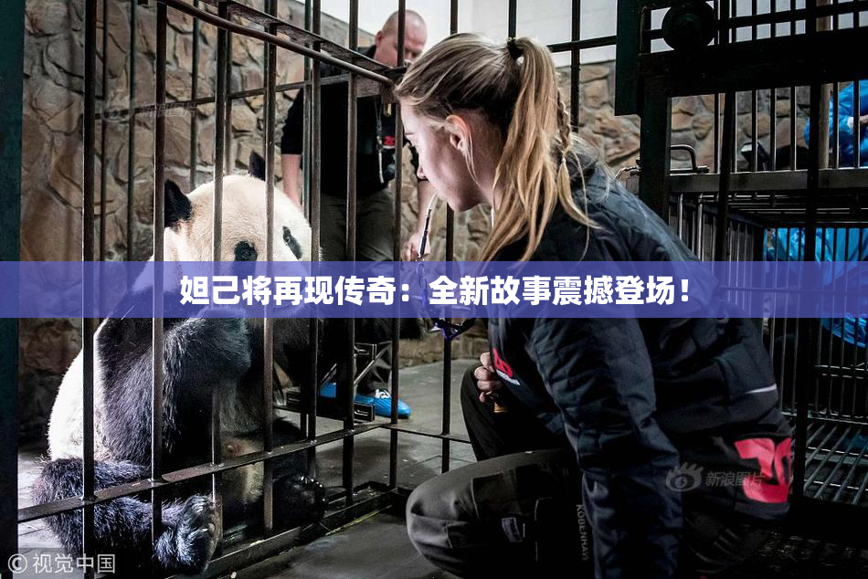 妲己将再现传奇：全新故事震撼登场！