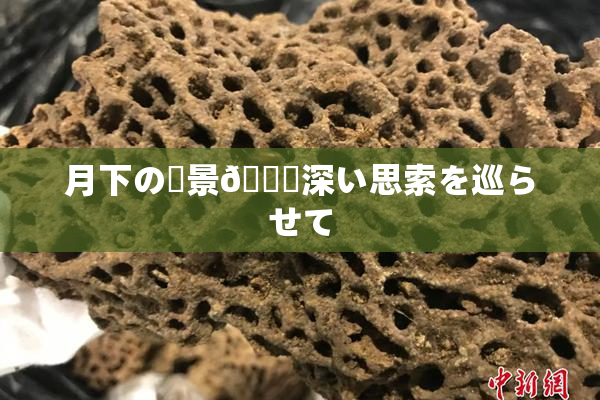 月下の風景🎆深い思索を巡らせて