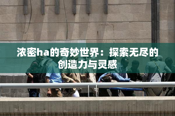 浓密ha的奇妙世界：探索无尽的创造力与灵感