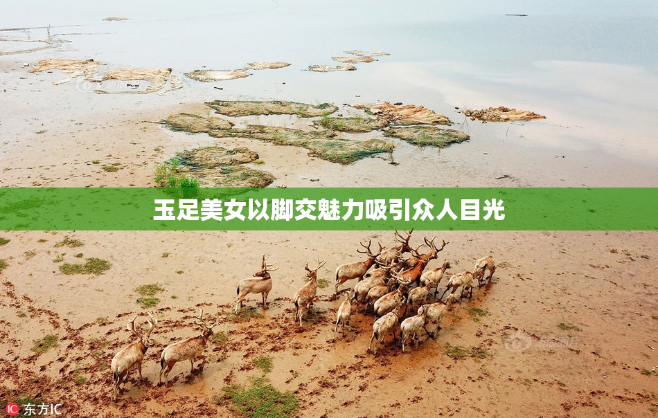 玉足美女以脚交魅力吸引众人目光