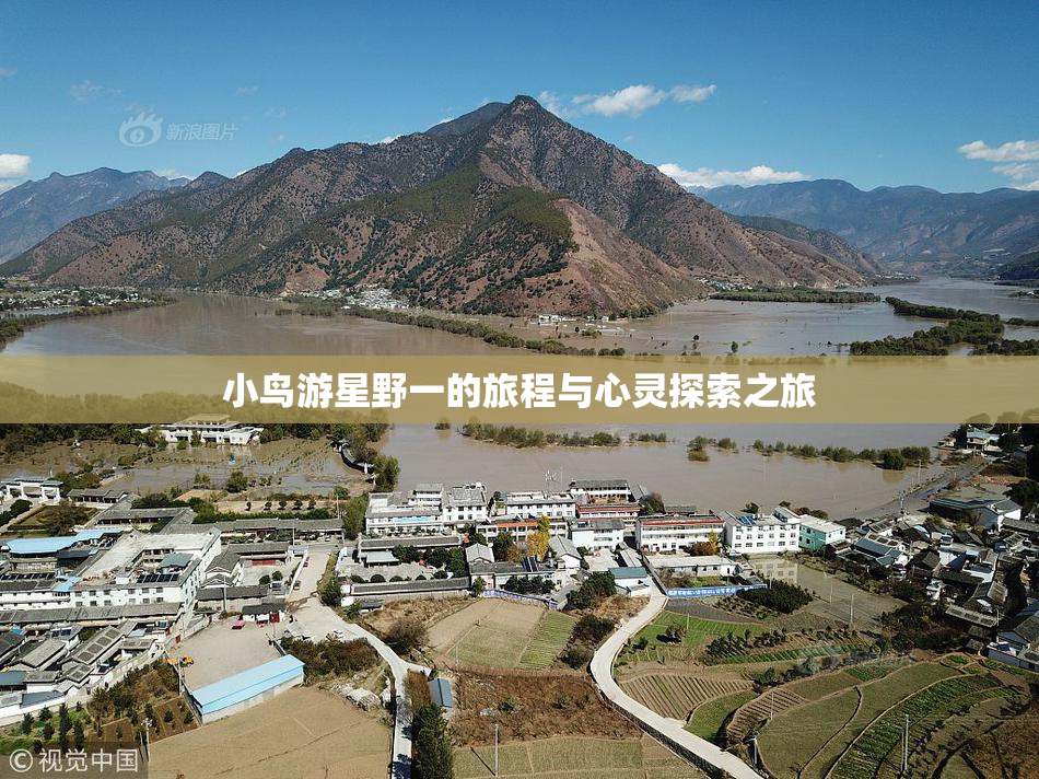小鸟游星野一的旅程与心灵探索之旅
