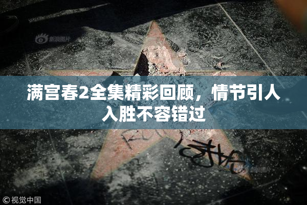 满宫春2全集精彩回顾，情节引人入胜不容错过