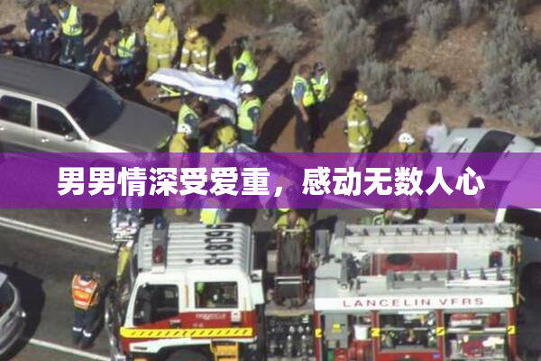 男男情深受爱重，感动无数人心