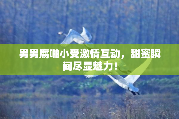 男男腐啪小受激情互动，甜蜜瞬间尽显魅力！