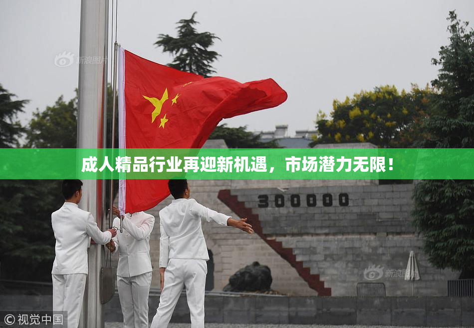成人精品行业再迎新机遇，市场潜力无限！
