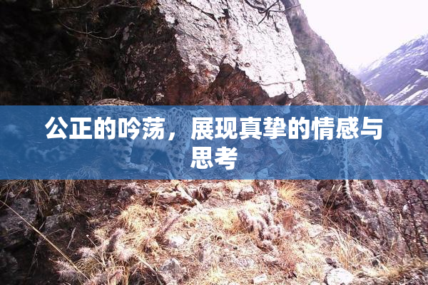 公正的吟荡，展现真挚的情感与思考
