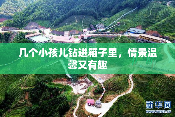 几个小孩儿钻进箱子里，情景温馨又有趣