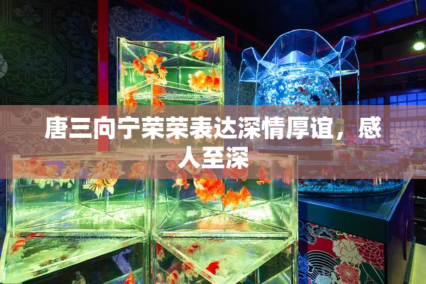 唐三向宁荣荣表达深情厚谊，感人至深