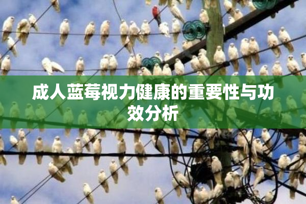 成人蓝莓视力健康的重要性与功效分析