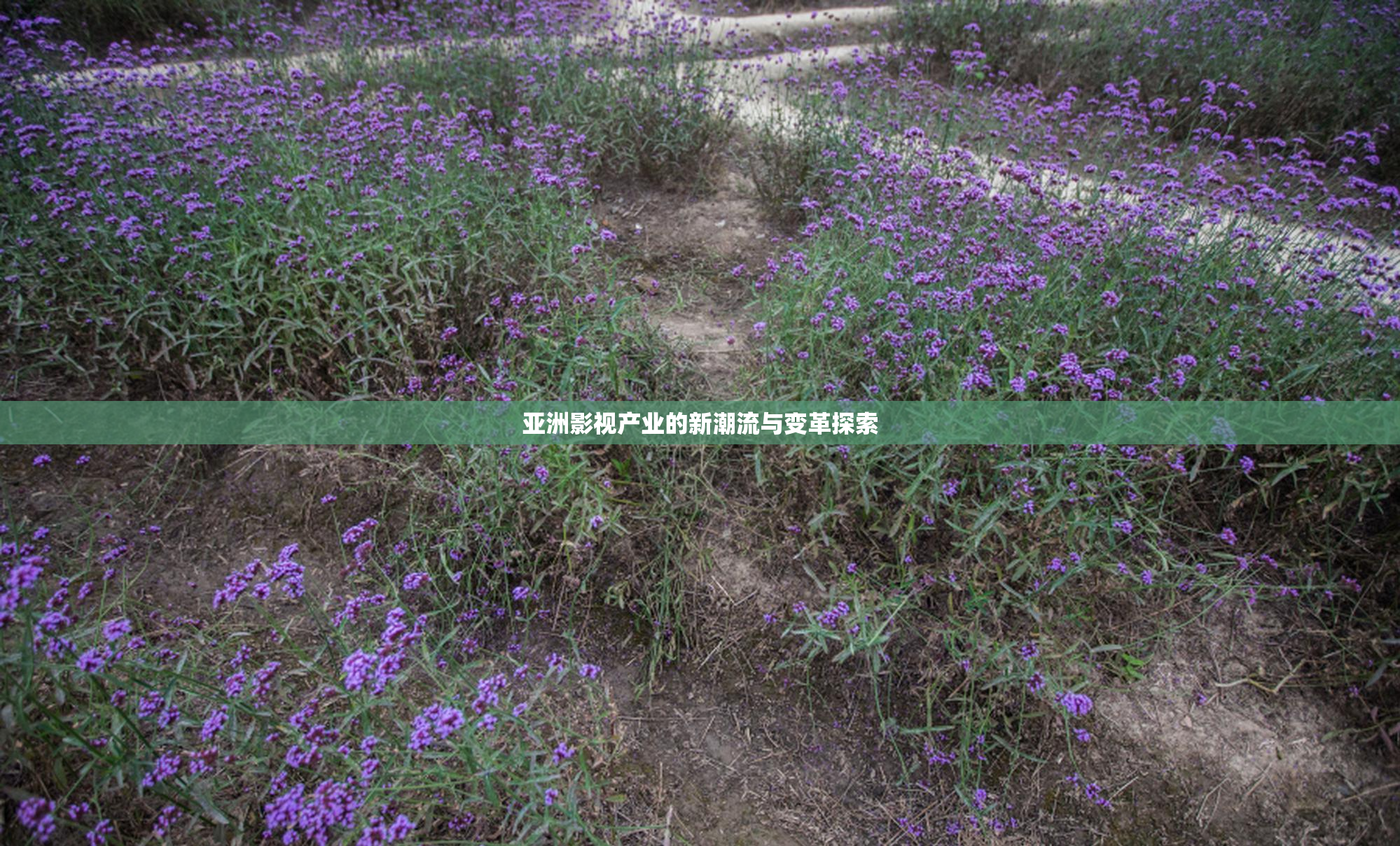 亚洲影视产业的新潮流与变革探索