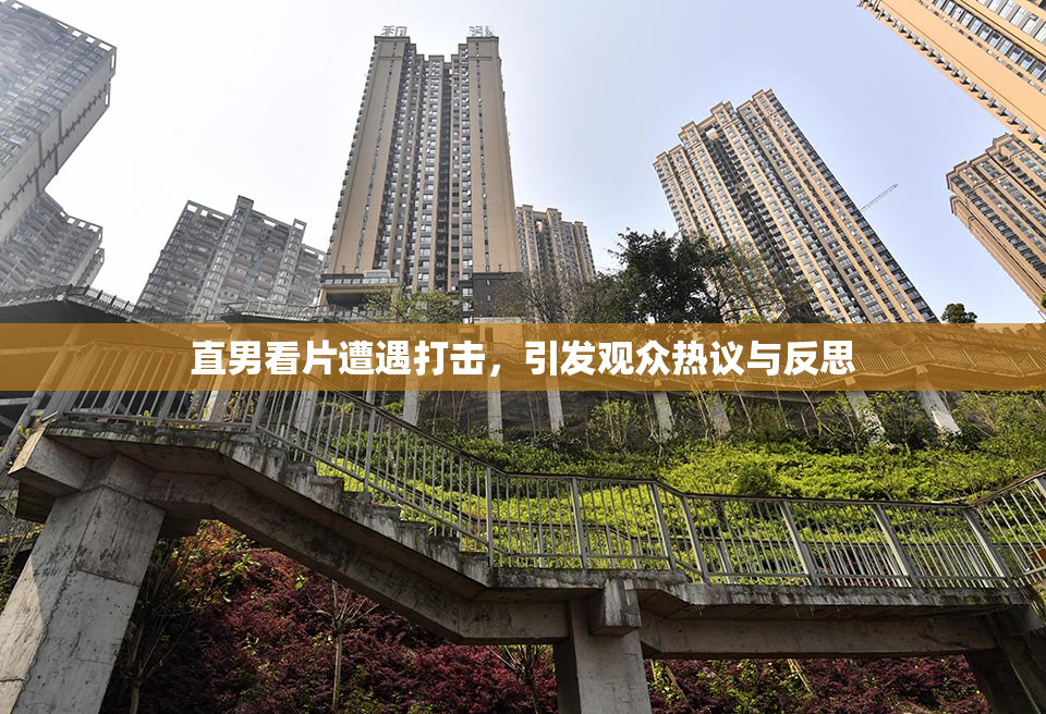 直男看片遭遇打击，引发观众热议与反思