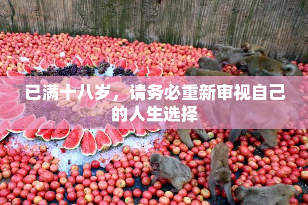 已满十八岁，请务必重新审视自己的人生选择