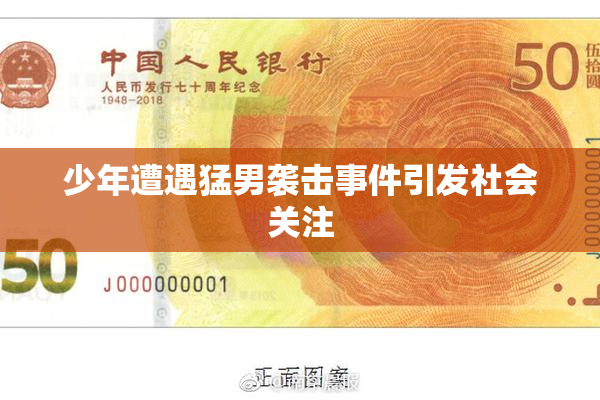 少年遭遇猛男袭击事件引发社会关注