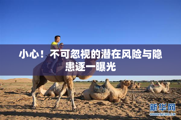 小心！不可忽视的潜在风险与隐患逐一曝光