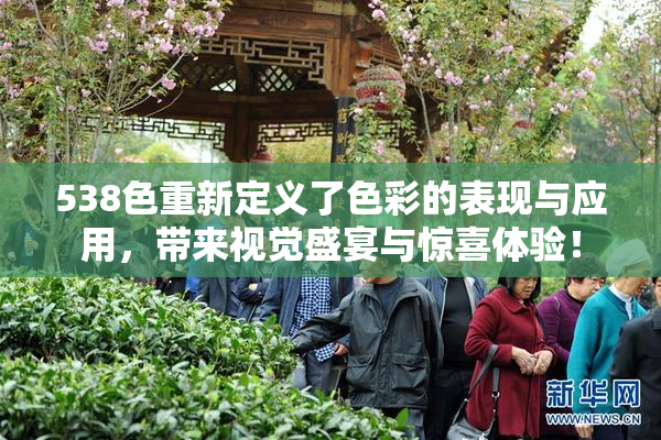 538色重新定义了色彩的表现与应用，带来视觉盛宴与惊喜体验！