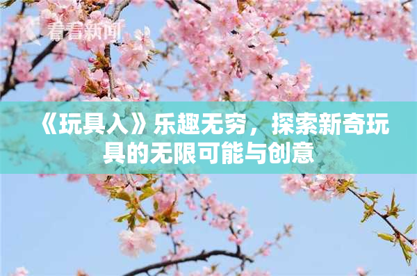《玩具入》乐趣无穷，探索新奇玩具的无限可能与创意