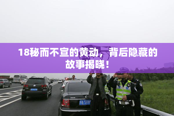 18秘而不宣的黄动，背后隐藏的故事揭晓！