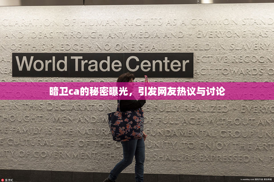 暗卫ca的秘密曝光，引发网友热议与讨论