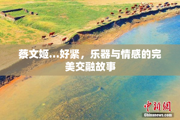 蔡文姬…好紧，乐器与情感的完美交融故事