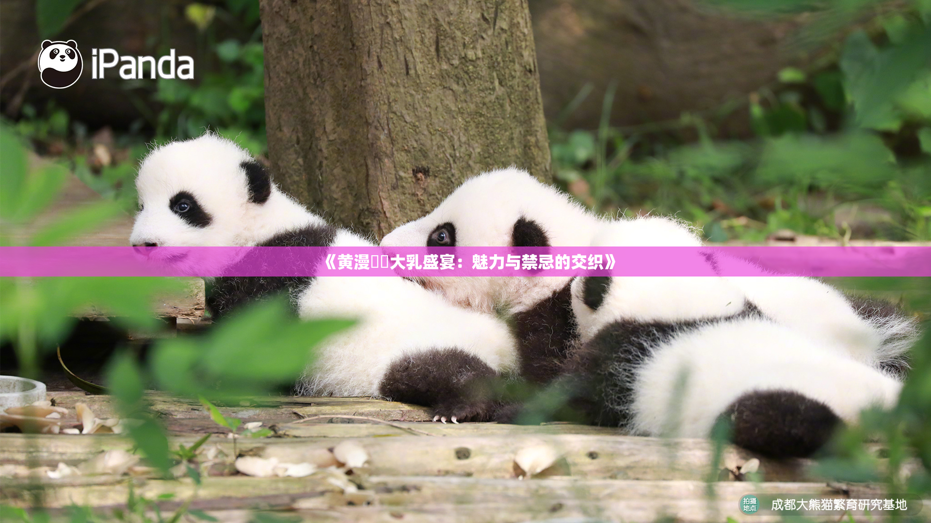 《黄漫❌‌大乳盛宴：魅力与禁忌的交织》