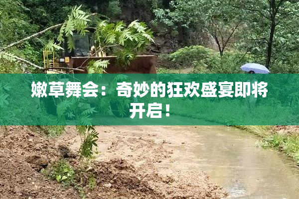 嫩草舞会：奇妙的狂欢盛宴即将开启！