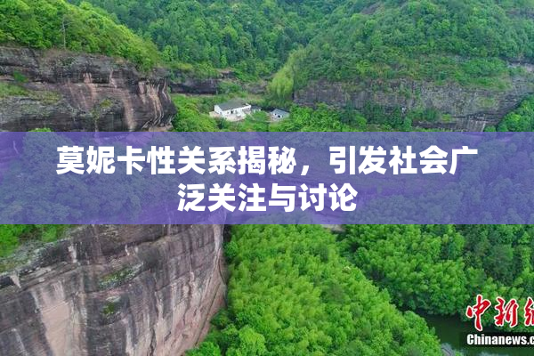莫妮卡性关系揭秘，引发社会广泛关注与讨论