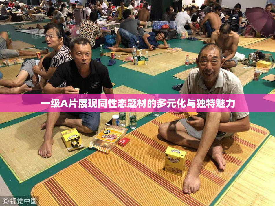 一级A片展现同性恋题材的多元化与独特魅力