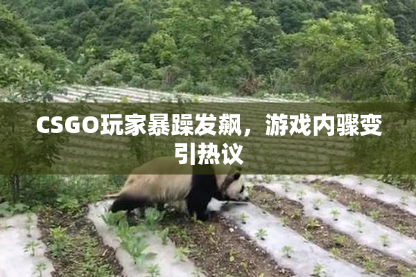 CSGO玩家暴躁发飙，游戏内骤变引热议