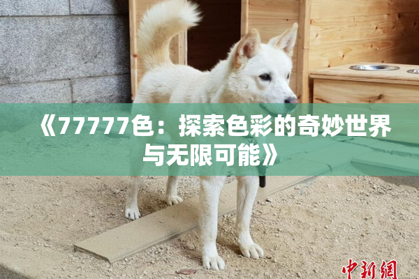 《77777色：探索色彩的奇妙世界与无限可能》