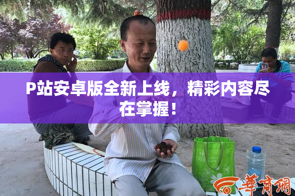 P站安卓版全新上线，精彩内容尽在掌握！