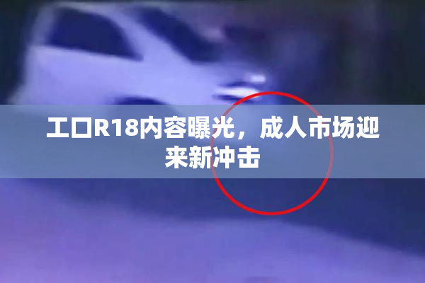 工口R18内容曝光，成人市场迎来新冲击