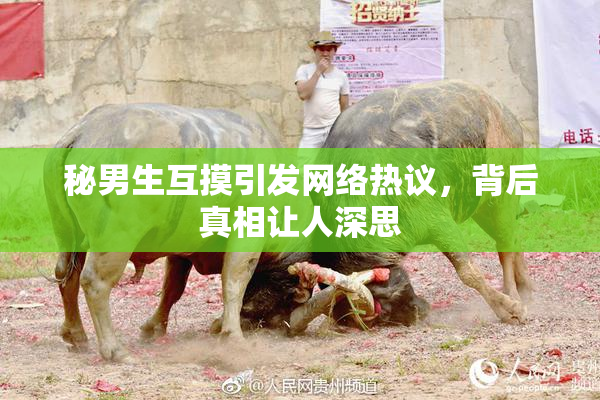 秘男生互摸引发网络热议，背后真相让人深思