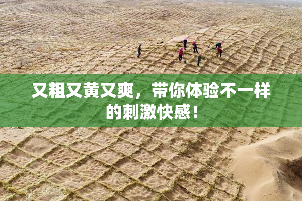 又粗又黄又爽，带你体验不一样的刺激快感！