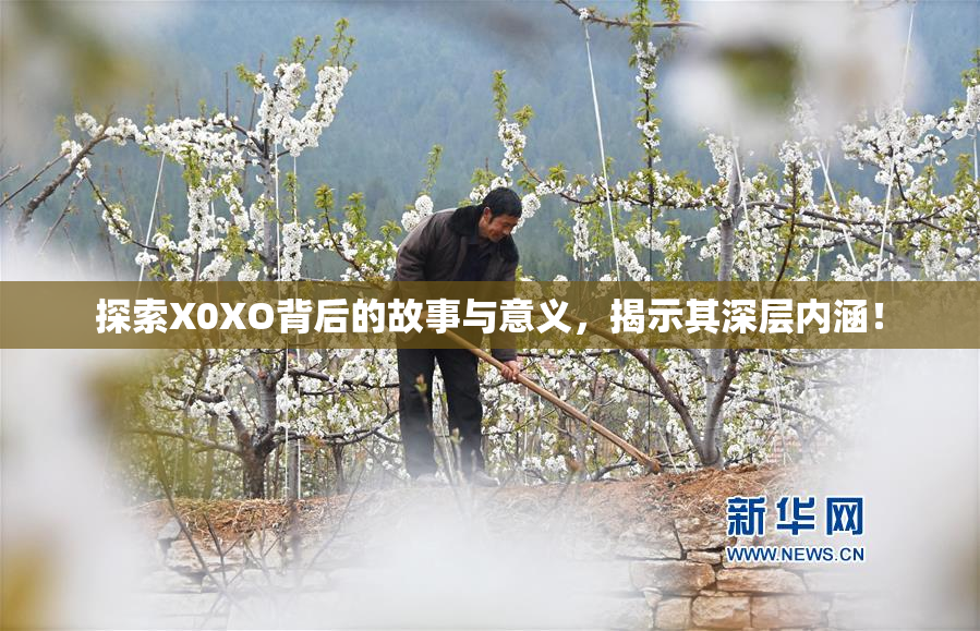 探索X0XO背后的故事与意义，揭示其深层内涵！