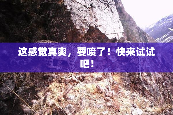 这感觉真爽，要喷了！快来试试吧！