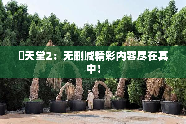 妺天堂2：无删减精彩内容尽在其中！