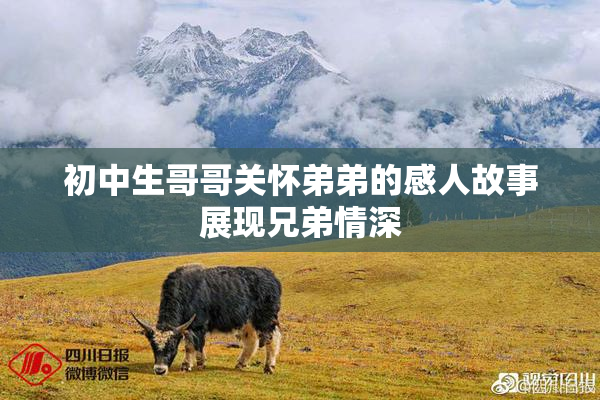 初中生哥哥关怀弟弟的感人故事展现兄弟情深