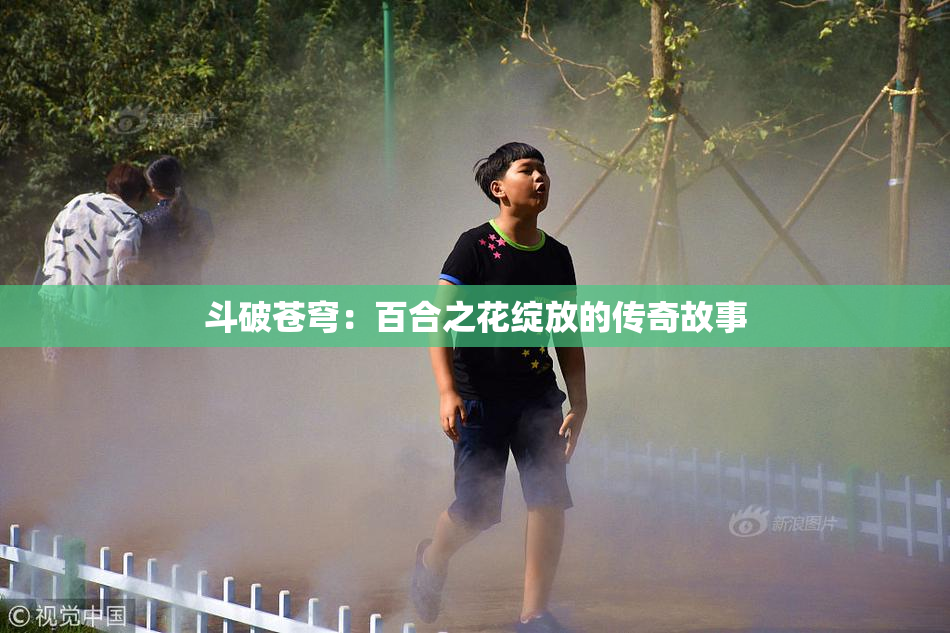 斗破苍穹：百合之花绽放的传奇故事