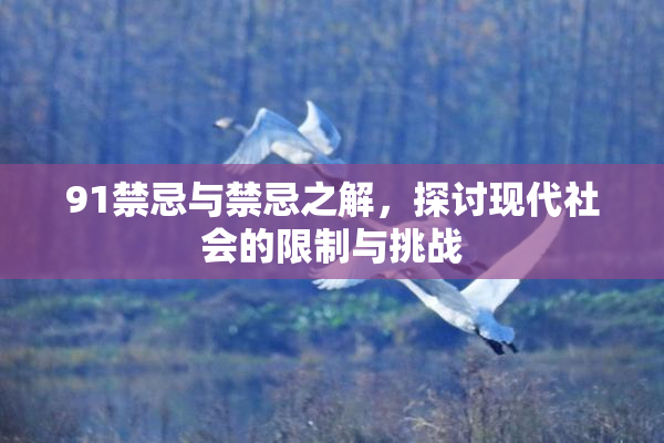 91禁忌与禁忌之解，探讨现代社会的限制与挑战